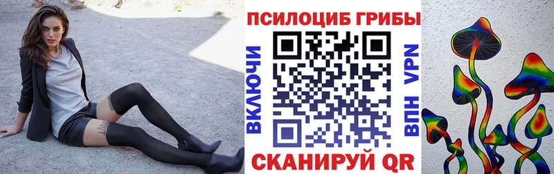 Псилоцибиновые грибы Psilocybine cubensis  Любим 